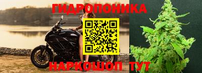 кокс Бузулук
